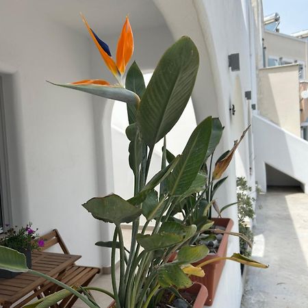 Appartement To Spitaki Sas, In Santorini! à Mesaria Extérieur photo